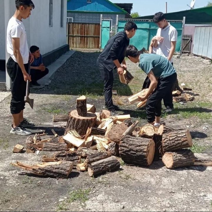 "Игі істер" акциясы